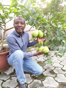 Read more about the article Growing Fruit Trees in Pots