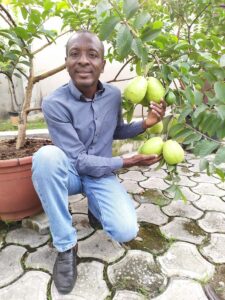 Read more about the article Guava Growing Guide